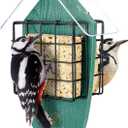 Kingsyard Double Suet Feeder for Outdoors Hanging, Recycled Plastic Tail-Prop Suet Bird Feeders with Rainproof Roof, Great for Woodpecker Chickadee Nuthatch (Green)