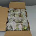 Jenaai 12 Pcs 2.36 Inch Lime Green Glass Christmas Ball Ornaments Vintage Christmas Tree Decorations Mercury Glass Hanging Ornaments for Trees Xmas Holiday Party Garland DIY Craft Supplies, 6 Style