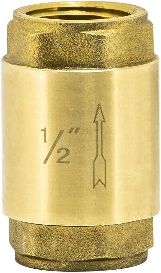 Eastman Brass In-Line Check Valve, 3/4 Inch IPS Threaded Connection, Stainless Steel Spring, 20403LF