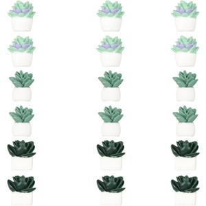 18pcs Plant Magnets, Cute Fridge Magnets Funny Aesthetic Succulent Magnets for Locker Desk Accessories Magnetic Plant Decorative Magnets for Kitchen Refrigerator Office Whiteboard