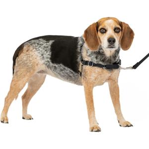 PetSafe Easy Walk No-Pull Dog Harness - The Ultimate Harness to Help Stop Pulling - Take Control & Teach Better Leash Manners - Helps Prevent Pets Pulling on Walks, Small/Medium, Black/Silver