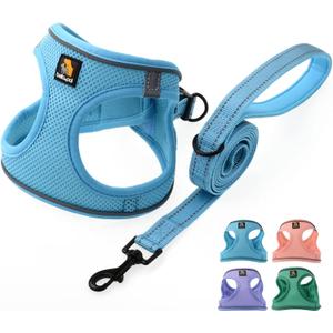 BELLA & PAL Step in Vest Harness for Small and Medium Dogs, No Pull Small Dog Harness with Leash Set, Comfortable Air Mesh Dog Vest Harness with Reflective Strip (Sky Blue, M)