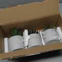 OLEEK Small Fake Plant Office Desk Decor - Desk Plants for Office Decorations for Work - Decorative Plants Decor - Funny Office Decor for Women - Fake Succulents Plants Artificial Home Decor Shelf (collection C (set of 3))