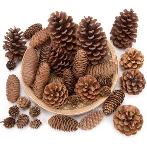 JOHOUSE 50PCS Large Natural Pinecone Ornaments, Pine Cones for Crafts, Pinecone Ornaments for Christmas Tree, Wreath Making, Winter Christmas Bowl Fillers, Winter Vase Filler