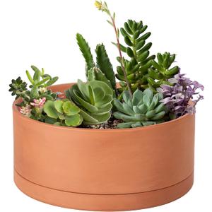 D'vine Dev 10 Inch Succulent Terracotta Shallow Pot with Drainage Hole and Saucer, Round Cylinder Planter Pot for Plant Flower