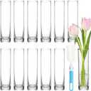 TBWIND 12pcs Glass Cylinder Bud Vases for Centerpieces, 7.5 Inch Clear Slim Flower Vases for Single Stems, Small Glass Vases in Bulk for Wedding Table Party Home Decor