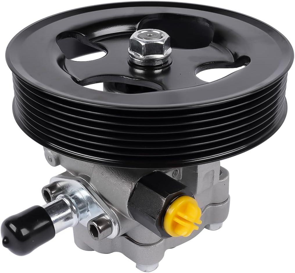 21-5366 Power Steering Pump with Pulley Replacement for Infiniti QX56 2004-2011 Nissan Armada 2005-2009 Pathfinder 2008-2010 Titan 2004-2010 5.6L 49110-7S000