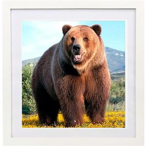 16x16 Diamond Painting Picture Frames,Display Pictures 14x14 Inch/35x35cm With Mat or 16x16 Inch/ 40x40cm Without Mat, Picture Frames Diamond Art Frames Wood White (YK0062)