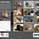 Fat Cat Calendar 2026 Monthly Wall Calender 12 Month | American Made In The USA