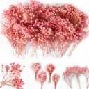 4000+ Mini Pink Dried Babys Breath Flowers 6'', 70Pcs Natural Gypsophila for DIY Art Crafts, Dry Flowers Bulk for Vase Resin Nails, Valentine's Day Decor, Room Table Wedding Gifts