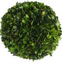 Real Boxwood Decorative Ball Large 10 inches Great for Wedding Home Decoration, Vase Bowl Filler Realistic Full Green Plant, Indoor Decor(Boxwood)