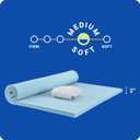 Sealy Dreamlife 2” Gel Memory Foam Queen Mattress Topper with Cooling Cover, SealyComfort Gel Foam, SealyCool Stretch Knit Cover with Corner Straps