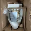 American Standard 6581001.020 Maybrook Universal Washout Top Spud Urinal, 1.0 GPF, White