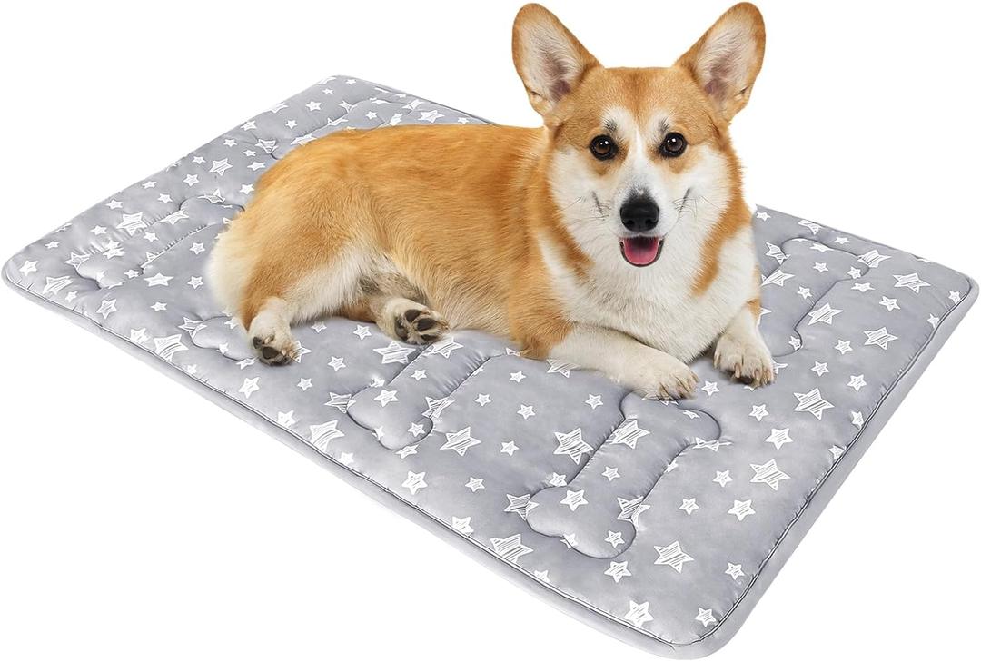 Dog Crate Mat (30" X 19"), Soft Dog Bed Mat with Cute Prints, Personalized Crate Pad, Anti-Slip Bottom, Machine Washable Kennel Pad (Grey)