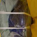 Portable Inflatable Paint Booth Tent with Powerful Blower Inflatable Spray Booth with Air Filter System, Blow Up Paint Booth (10.8x8.2x7.2Ft)