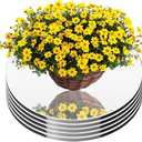 Round Mirror for Centerpieces 5PCS Acrylic Circle Wall Mounted Mirrors Candle Plate Mirror Tray for Craft DIY Birthday, Wedding, Anniversary Festival Table Centerpieces Decorations (10inch/25cm)