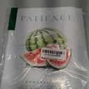 9Pcs Fruit of the Holy Spirit Wall Art Bible Verse Canvas Poster Print Inspirational Fruit Painting Pictures Christian Wall Decor for Bedroom Classroom School 8x10in Unframed (10L" x 8W")