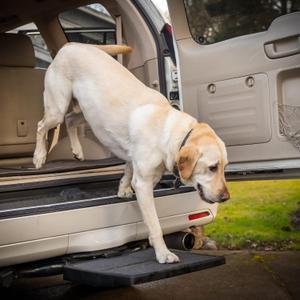 Pet Ramp Step Helps Dogs Get in & Out of Car Van SUV | Portable Lightweight Dog Ramp | Simply Slide into 2 inch Trailer Hitch Receiver | No Tools Needed | Essential Pet Gear | Made in USA