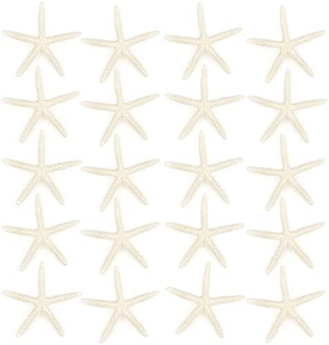 Jangostor 20 PCS Starfish, 2.5" to 4" Natural Seashells Starfish Star Fish Shells Decorations White Starfish Ornaments Perfect for Wedding Beach Theme Party Home Decorations, DIY Crafts, Fish Tank