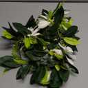 Riceshoot 1 Pcs Hawaiian Maile Lei 6.56 ft Green Garland White Tuberose Leaf Flower Necklace Gift for Wedding Hawaiian School Ceremony Luau Aloha Tropical Summer Party Supplies