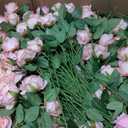 150 x Ovveroche 150 Pcs Artificial Roses Long Stem Silk Flowers Light Pink
