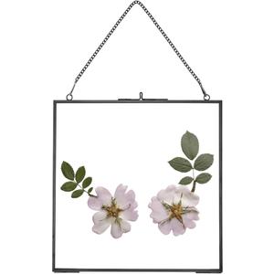 Glass Pressed Flower Frames,Vintage Hanging Picture Frames with Chain,Handmade Brass Floating Picture Frame,Plant Specimen Wall Ornament Display DIY Family Photo,Square,Black,8x8 Inches (8L" x 8W")