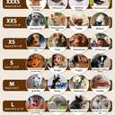 Crazy Felix Nylon Dog Muzzle for Small Medium Large Dogs, Air Mesh Breathable and Drinkable Pet Muzzle for Anti-Biting Anti-Barking Licking (M, Beige)