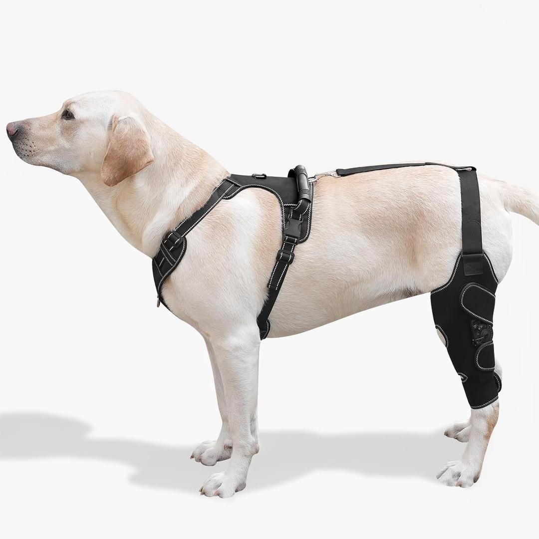 Dog Knee Brace with Adjustable Support ACL & CCL Tear Recovery, Post-Surgery Stabilization, Mobility Aid for Rear Legs Includes Secure Chest Harness for Dogs (Left, L)