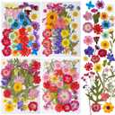 145pcs Natural Pressed Dried Flowers Mixed Multi-Color Pressed Flower Mini Rose Hydrangea Daisy for Art Craft DIY Resin Nail Art Floral Decors (Red, Purple & Blue)