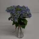 Artificial Hydrangea Flowers in Glass Vase with Faux Water, 13.8" Fake Blue Hydrangeas Arrangement Centerpiece for Home Caf Kitchen Bathroom Decoration