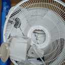 Lasko 2520 Oscillating Stand Fan,White 16 Inch