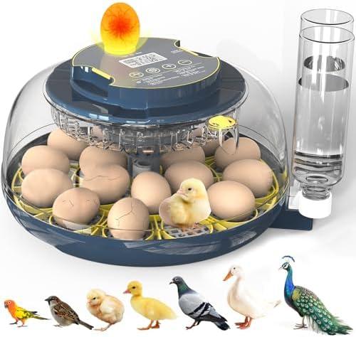 Incubators for Hatching Eggs, 18 Eggs Incubator with Egg Candler, Auto Egg Turner, Temp & Humidity Control, Hatch Day, Auto Water Refill, 2 Size Egg Tray, 360° Viewing for Chicken, Duck, Quail