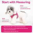 Petank Dog Harness for Small Medium Dogs No Pull, Puppy Harness and Leash Set for Walking, Running, Training, Small Dog Harness, Medium Dog Harness (Brown, Small)