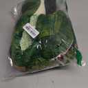 Roicaholy Dinosaur Tail Hat and Paw Gloves Set, Dragon Crocodile Costume Accessories Halloween Dress Up Cosplay Dino Theme Party Favor