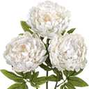 Briful 3PCS White Peony Artificial Flower Stems 29.1in Long Stem Fake Peonies Silk Floral Arrangement Real Touch Peony Flower for Christmas Home Vase Party Wedding Bouquet Decor