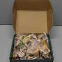 12PCS Bendable Wooden Animal Toys, Fun and Posable Animal Toys for Early Education, Smooth Natural Wood, Safari Farm Wood Animals Learning Toy for Kids (12 Pack Zoo)