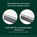 ZINUS 12 Inch True Support Hybrid Mattress [New Version], Full, Fiberglass Free, Medium Feel, Motion Isolation, Certified Safe Foams & Fabric, Mattress in A Box