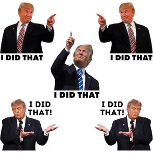 I Did that Trump Stickers, 100 Pcs Trump I Did that Stickers, Funny I Did that Stickers, Mixed 5 Different Patterns, 3" Large Size (100 Pcs)