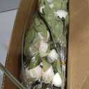 VIERENA 12 Pcs Faux Silk Peony Artificial Flowers for Vase -27", Bulk Fake Peonies Branches with Stems for DIY Bouquet Centerpieces Wedding Fillers Arrangements Shower Decorations (Cream)