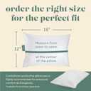 ComfyDown Goose Down Travel Pillow - Filled with 800 Fill Power European Goose Down, Egyptian 300 Thread Count 100% Cotton Cover for Plane car & Home - Made in USA (12x16)