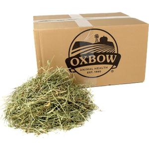 Oxbow Animal Health Western Timothy Hay, Guinea Pig Hay, Small Pet Bunny Supplies, All Natural Grass for Guinea Pig, Bunny, Chinchilla & Hamster, Oxbow Rabbit Supplies for Bunnies, 25 lb box (25 Pound (Pack of 1))