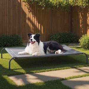 Bedsure Elevated Raised Cooling Cots Bed for Large Dogs, Portable Indoor & Outdoor Pet Hammock with Skid-Resistant Feet, Frame with Breathable Mesh, Grey, 49 inches (49.0"L x 31.5"W x 8.0"Th)