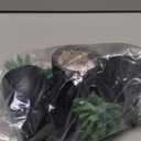 Der Rose 3pcs Fake Succulents Plants Artificial for Black Bathroom Bedroom Home Living Room Halloween Decor Aesthetic Indoor