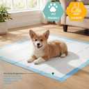 MED PRIDE Disposable Underpads 23'' X 36'' (25-Count) Incontinence Pads, Chux, Bed Covers, Puppy Training | Thick, Super Absorbent Protection for Kids, Adults, Elderly | Liquid, Urine, Accidents