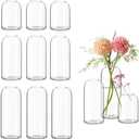Etolies Glass Bud Vases in Bulk Set of 12, Clear Small Vases for Flowers, Modern Cylinder Glass Vase for Wedding Party Dining Table Centerpieces, Living Room Decorative, Home Decor