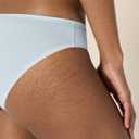 Amazon Essentials Womens Cotton Bikini Brief Underwear (Available in Plus Size) (XL)