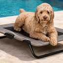 Pet Gear Lifestyle Pet Cot Elevated Bed, 30 Inch, Wheat | No Assembly Required, Premium Tear Resistant Cooling Mesh, Indoor & Outdoor, Lightweight & Portable
