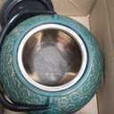 Green Floral Cast Iron Teapot Kettle with Stainless Steel Loose Leaf Infuser (34 oz)