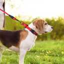 Martingale Collar for Dogs with Quick Release Buckle, Reflective Soft Padded & Escape Proof, Adjustable Nylon Dog Collars for Training & Daily Walking (Red,M)
