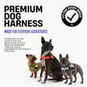 Dog Friendly Co. Dog Harness for Medium Dogs (Navy, Medium)